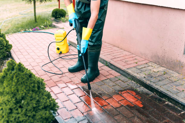 Pre-Holiday Cleaning in Morris, MN